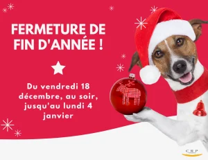 Fermeture annuelle ! #ChristmasTime